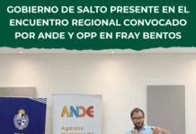 Salto participa en el Encuentro Regional de ANDE y OPP para definir la Agenda de Desarrollo del Litoral