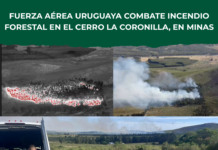 Fuerza Aérea Uruguaya combate incendio forestal en el cerro La Coronilla, en Minas