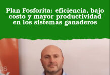 Plan Fosforita: eficiencia, bajo costo y mayor productividad en los sistemas ganaderos