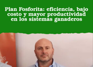 Plan Fosforita: eficiencia, bajo costo y mayor productividad en los sistemas ganaderos