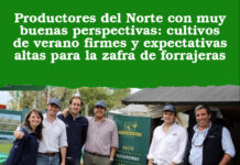 Productores del Norte con muy buenas perspectivas: cultivos de verano firmes y expectativas altas para la zafra de forrajeras