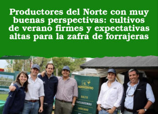 Productores del Norte con muy buenas perspectivas: cultivos de verano firmes y expectativas altas para la zafra de forrajeras