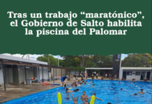 Tras un trabajo “maratónico”, el Gobierno de Salto habilita la piscina del Palomar