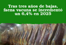 Tras tres años de bajas, faena vacuna se incrementó un 6,4% en 2025