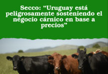 Secco: “Uruguay está peligrosamente sosteniendo el negocio cárnico en base a precios”