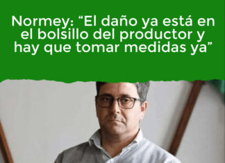 Normey: “El daño ya está en el bolsillo del productor y hay que tomar medidas ya”