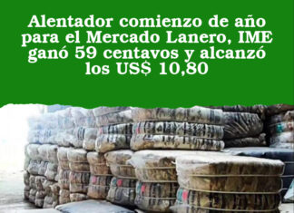 Alentador comienzo de año para el Mercado Lanero, IME ganó 59 centavos y alcanzó los US$ 10,80