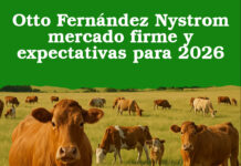 Otto Fernández Nystrom mercado firme y expectativas para 2026