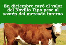 En diciembre cayó el valor del Novillo Tipo pese al sostén del mercado interno