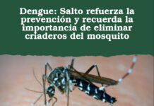 Dengue: Salto refuerza la prevención y recuerda la importancia de eliminar criaderos del mosquito