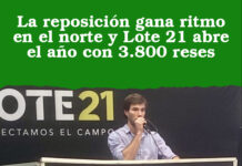 La reposición gana ritmo en el norte y Lote 21 abre el año con 3.800 reses