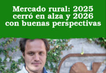 Mercado rural: 2025 cerró en alza y 2026 con buenas perspectivas