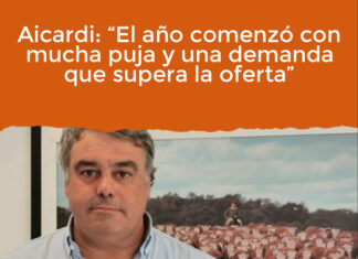 Aicardi: “El año comenzó con mucha puja y una demanda que supera la oferta”