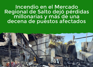 Incendio en el Mercado Regional de Salto dejó pérdidas millonarias y más de una decena de puestos afectados