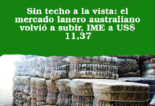 Sin techo a la vista: el mercado lanero australiano volvió a subir, IME a US$ 11,37