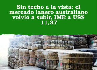 Sin techo a la vista: el mercado lanero australiano volvió a subir, IME a US$ 11,37