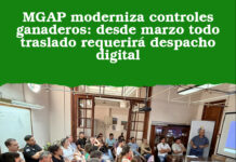 MGAP moderniza controles ganaderos: desde marzo todo traslado requerirá despacho digital
