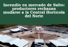 Incendio en mercado de Salto: productores rechazan mudarse a la Central Hortícola del Norte