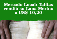 Mercado Local: Talitas vendió su Lana Merino a US$ 10,20