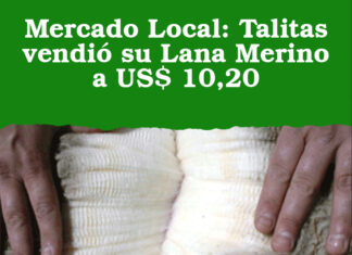 Mercado Local: Talitas vendió su Lana Merino a US$ 10,20