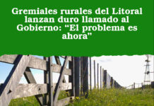 Gremiales rurales del Litoral lanzan duro llamado al Gobierno: “El problema es ahora”