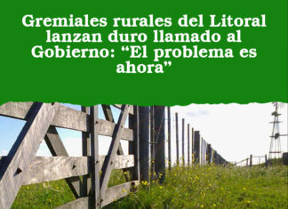 Gremiales rurales del Litoral lanzan duro llamado al Gobierno: “El problema es ahora”