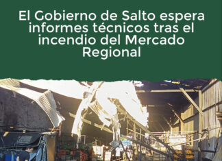 El Gobierno de Salto espera informes técnicos tras el incendio del Mercado Regional