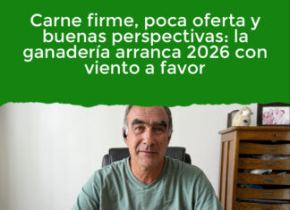 Carne firme, poca oferta y buenas perspectivas: la ganadería arranca 2026 con viento a favor