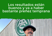 Los resultados están buenos y va a haber bastante preñez temprana