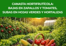 Canasta hortifrutícola: bajas en zapallos y tomates, subas en hojas verdes y hortalizas