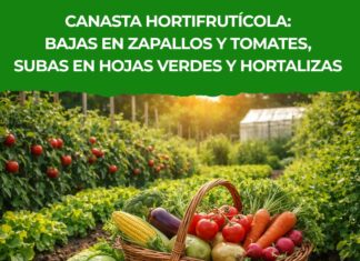 Canasta hortifrutícola: bajas en zapallos y tomates, subas en hojas verdes y hortalizas