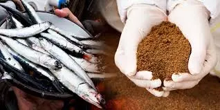 Harina de Pescado / Fish Meal