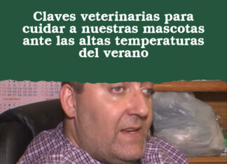 Claves veterinarias para cuidar a nuestras mascotas ante las altas temperaturas del verano