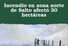 Incendio en zona norte de Salto afectó 30 hectáreas