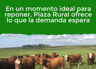 En un momento ideal para reponer, Plaza Rural ofrece lo que la demanda espera