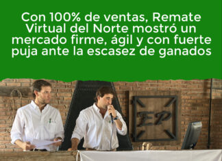 Con 100% de ventas, Remate Virtual del Norte mostró un mercado firme, ágil y con fuerte puja ante la escasez de ganados