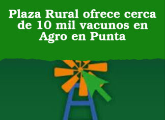 Plaza Rural ofrece cerca de 10 mil vacunos en Agro en Punta