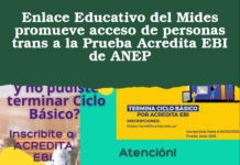 Enlace Educativo del Mides promueve acceso de personas trans a la Prueba Acredita EBI de ANEP