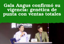 Gala Angus confirmó su vigencia: genética de punta con ventas totales