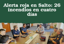 Alerta roja en Salto: 26 incendios en cuatro días