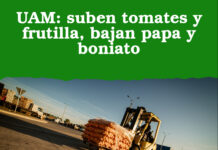 UAM: suben tomates y frutilla, bajan papa y boniato