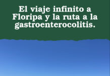 El viaje infinito a Floripa y la ruta a la gastroenterocolitis. (2 de 4)