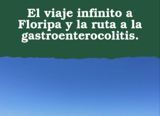 El viaje infinito a Floripa y la ruta a la gastroenterocolitis.