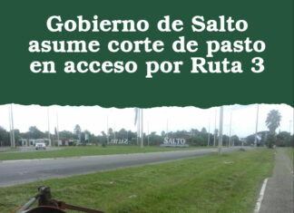 Gobierno de Salto asume corte de pasto en acceso por Ruta 3