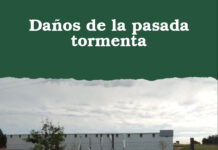 Daños de la pasada tormenta