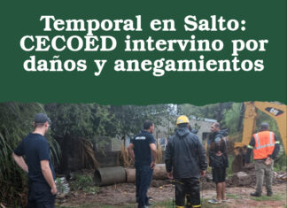 Temporal en Salto: CECOED intervino por daños y anegamientos