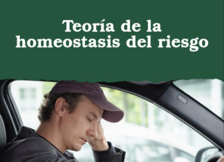 Teoría de la homeostasis del riesgo