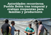 Autoridades recorrieron Pueblo Belén tras temporal y evalúan respuestas para familias y productores