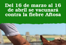 Del 16 de marzo al 16 de abril se vacunará contra la fiebre Aftosa