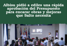 Albisu urge aprobar el Presupuesto para activar obras